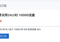 注册获赠24小时 1000G免费流量